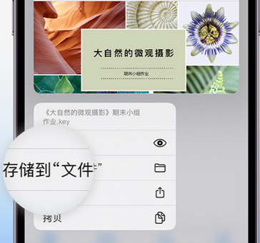 东城街道apple维修中心分享iPhone文件应用中存储和找到下载文件