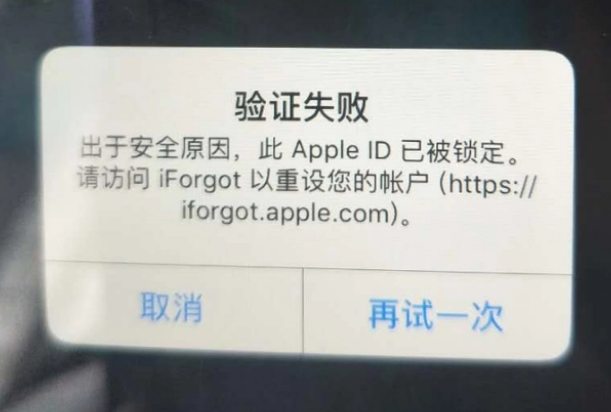 东城街道iPhone维修分享iPhone上正常登录或使用AppleID怎么办 