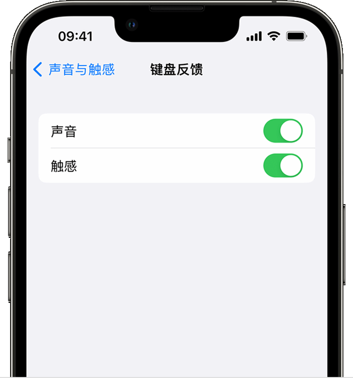 东城街道苹果14维修店分享如何在 iPhone 14 机型中使用触感键盘 