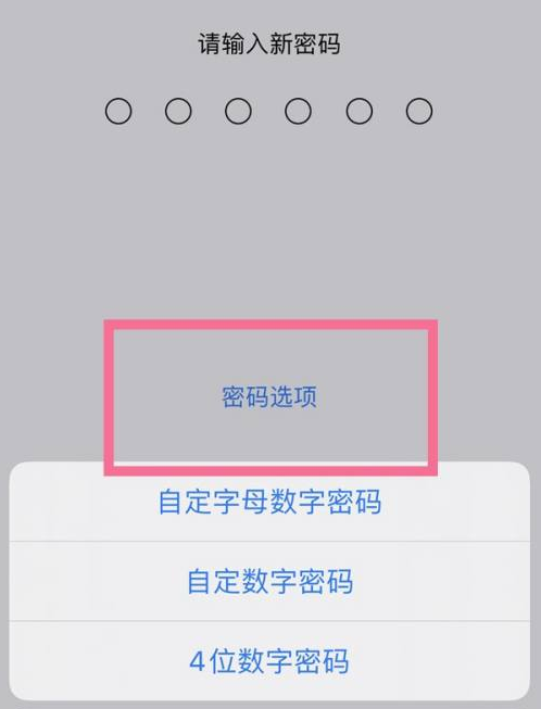 东城街道苹果14维修分享iPhone 14plus设置密码的方法 