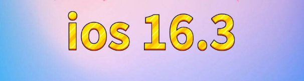 东城街道苹果服务网点分享苹果iOS16.3升级反馈汇总 