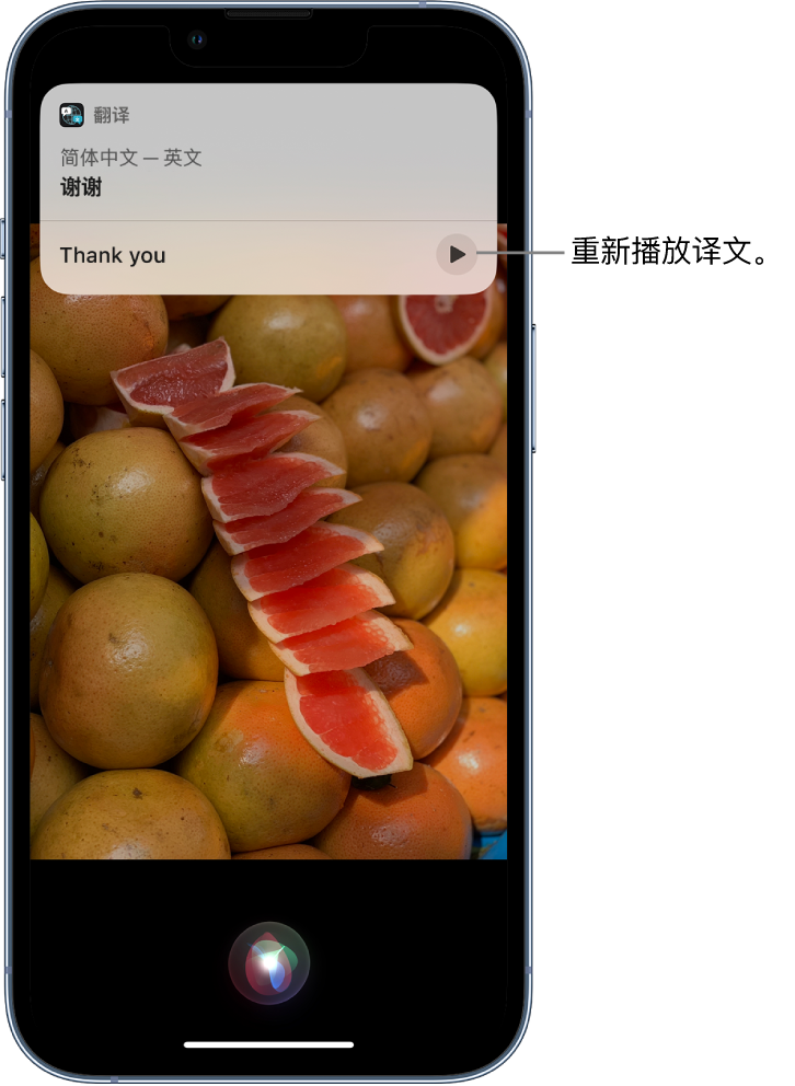 东城街道苹果14维修分享 iPhone 14 机型中使用 Siri：了解 Siri 能帮你做什么 