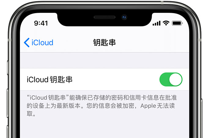 东城街道苹果手机维修分享在 iPhone 上开启 iCloud 钥匙串之后会储存哪些信息 