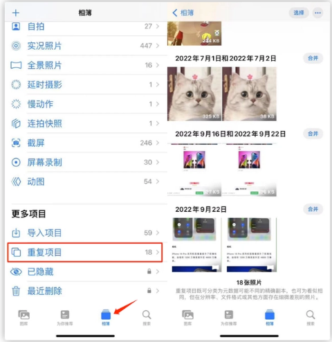 东城街道苹果手机维修分享iOS 16 中相册重复项目功能使用方法 