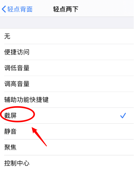 东城街道苹果手机维修分享iPhone12如何启用双击截屏 