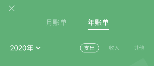 东城街道苹果手机维修分享如何在 iPhone 上查看支付宝和微信年支出账单 