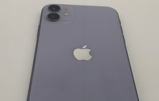 东城街道苹果11系统维修分享iPhone11手机系统崩溃无法开机如何解决 